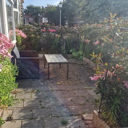 Guesthouse Zandvoort-3