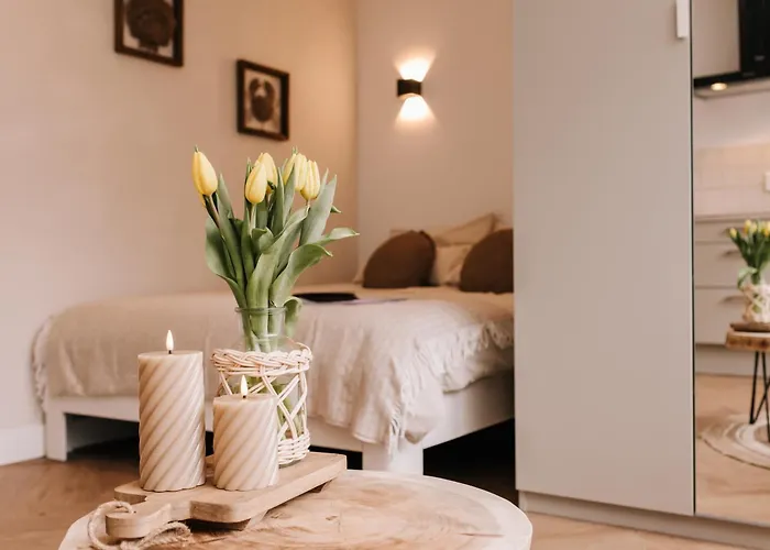 Huisdiervriendelijk hotel: Casa La Vida Beach House