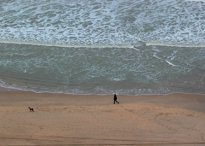 Resort: Palace Hotel Zandvoort